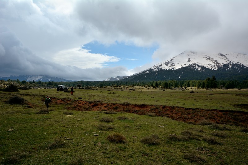 DSC_2254.JPG