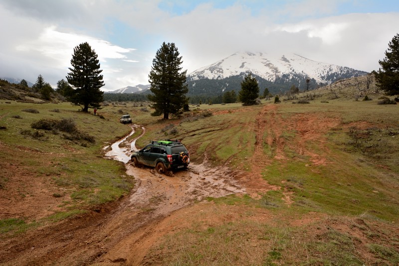 DSC_2277.JPG