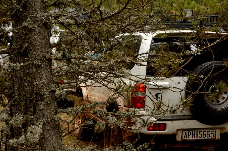 DSC_2354.JPG