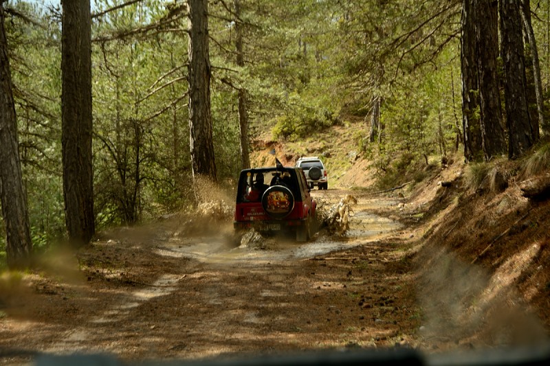 DSC_2454.JPG