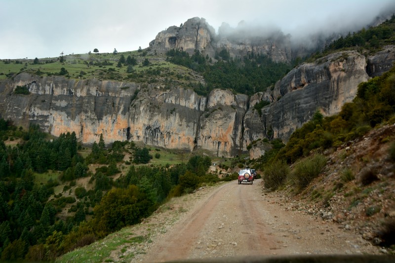DSC_2498.JPG