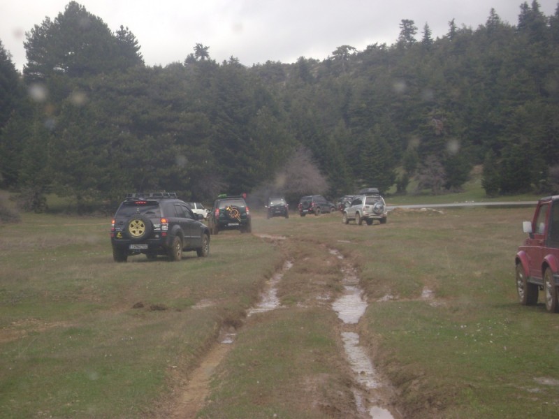 DSC02680.jpg