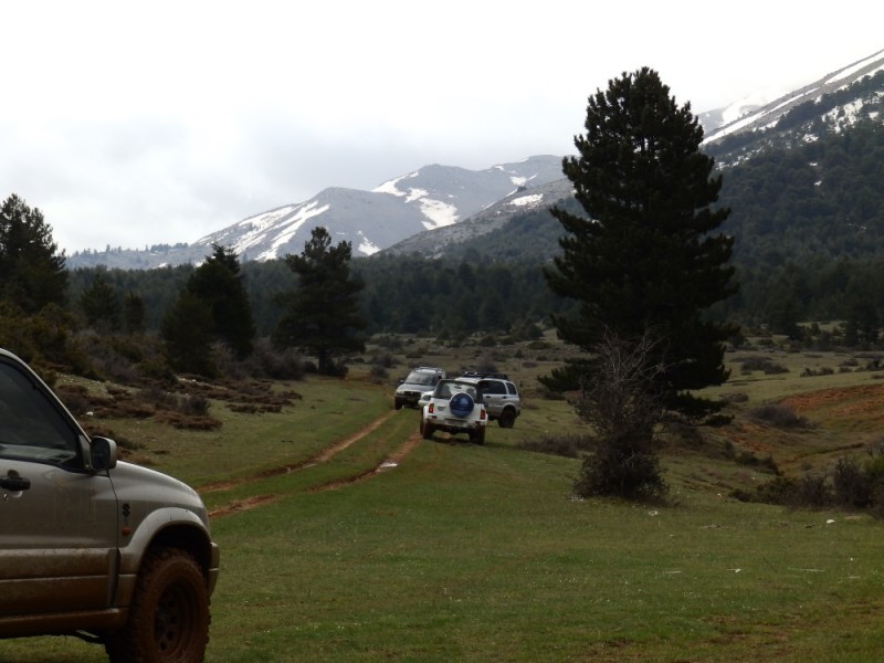 P4054146.jpg