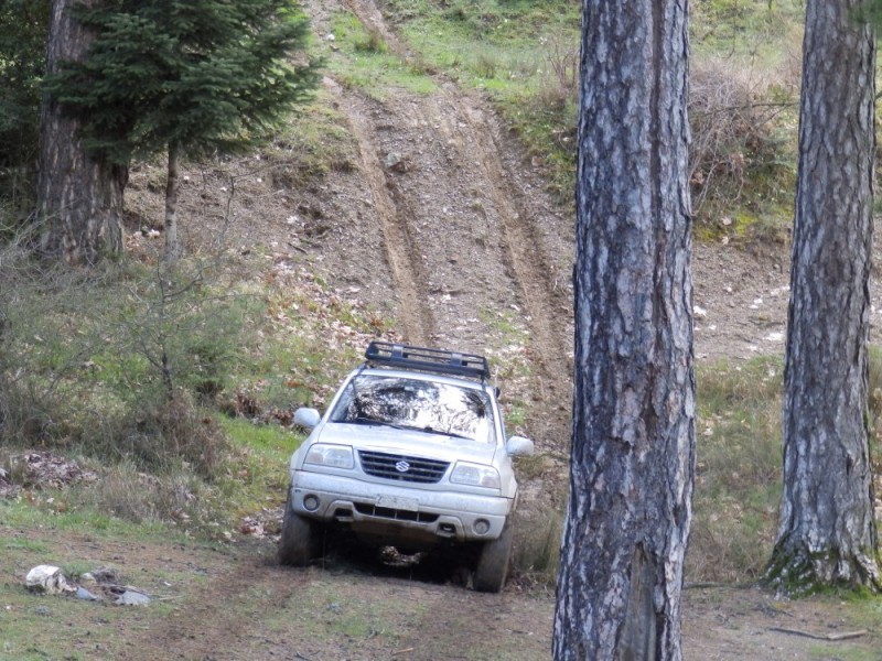 P4054355.jpg