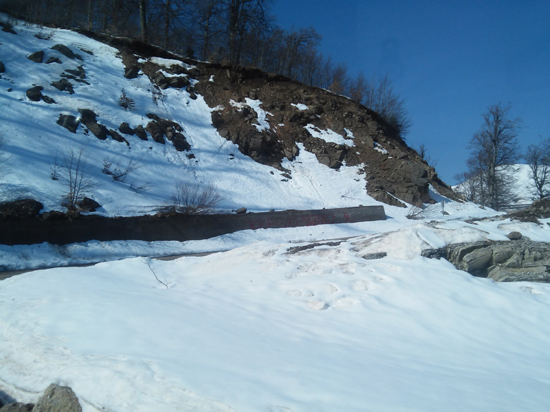 20150414_104251.jpg