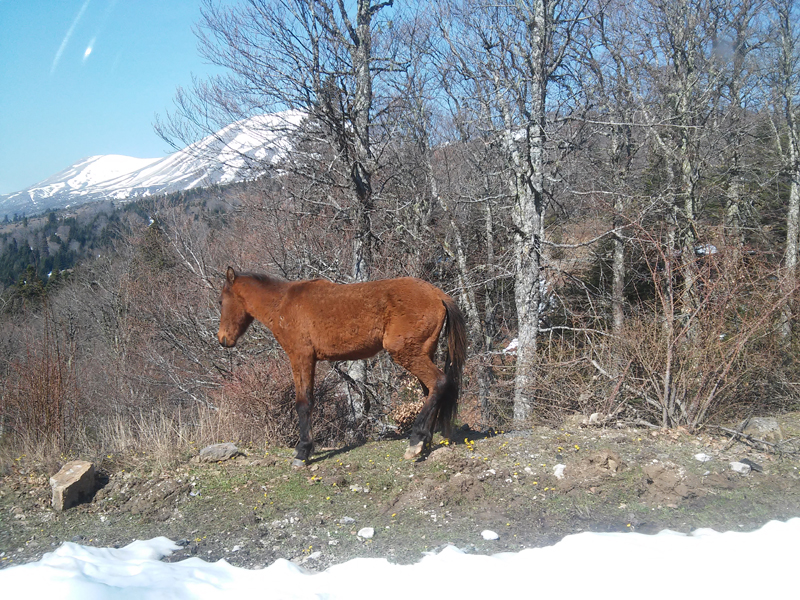 20150414_104625.jpg