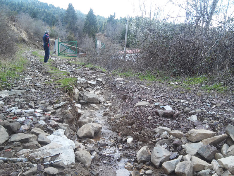 20150414_121611.jpg