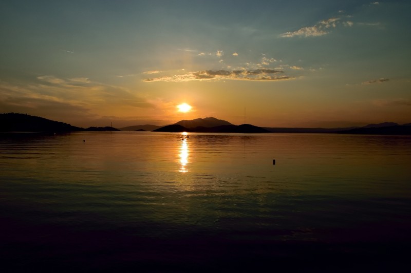 DSC_0709.JPG