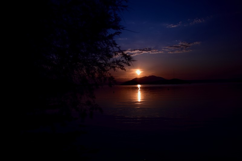 DSC_0720.JPG