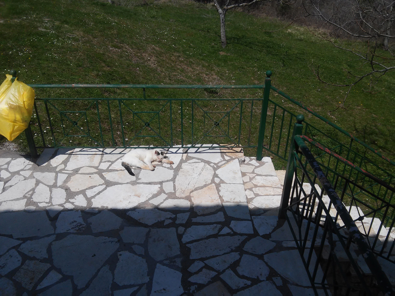 20150416_140304.jpg