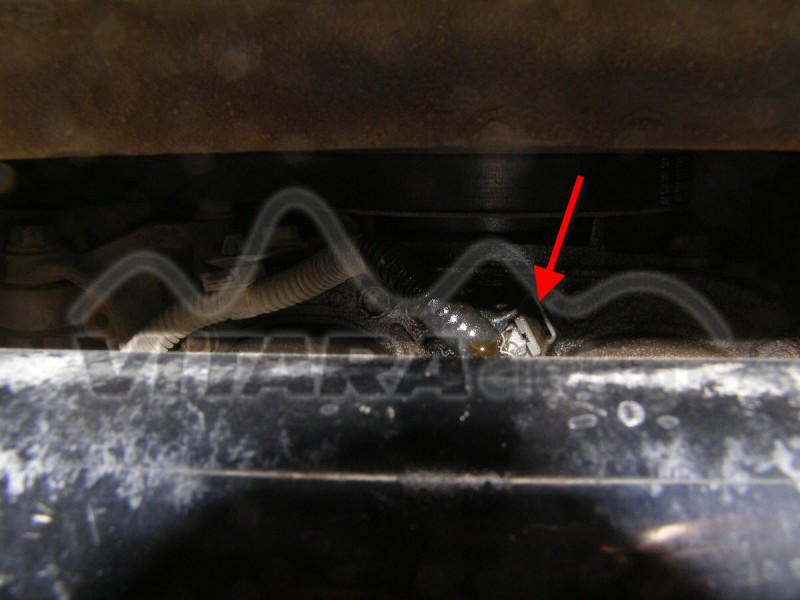 PA092486.jpg