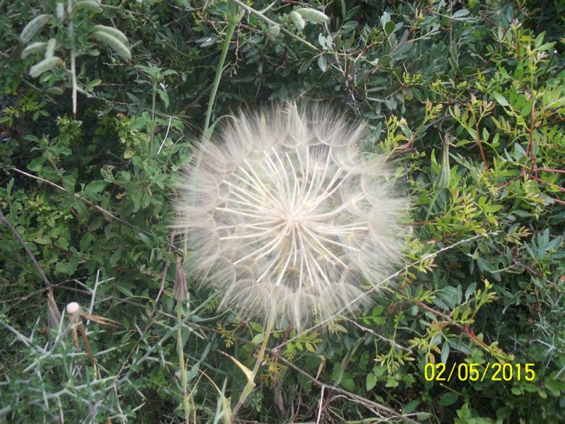 100_6636.jpg