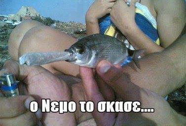 Nemo.jpg