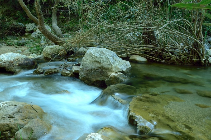 DSC_0054.JPG
