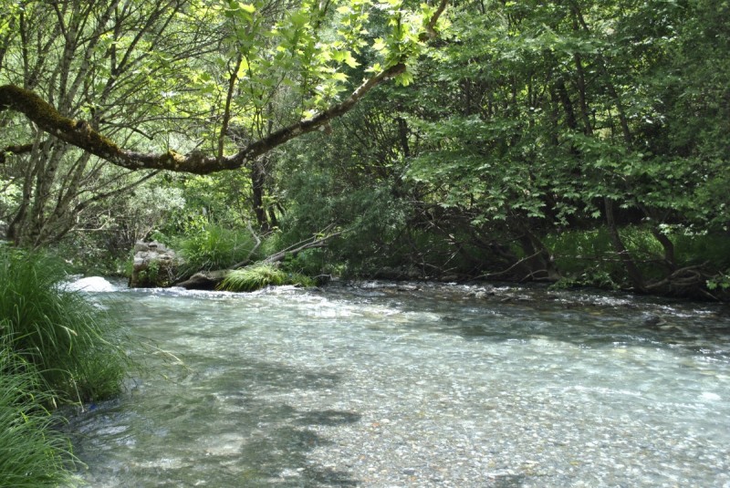 _DSC8607.jpg