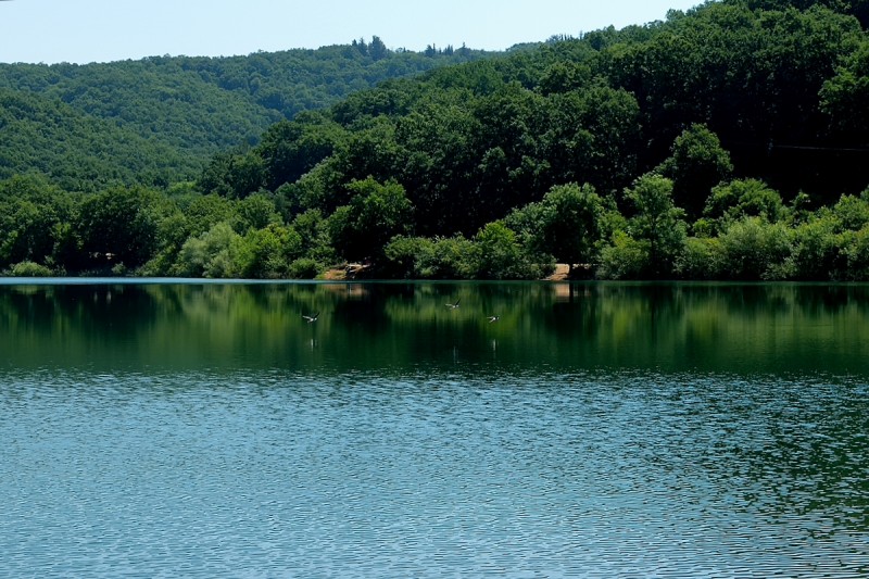 DSC_0461.JPG