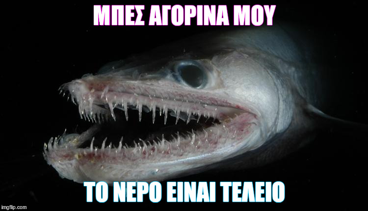 nqgkk.jpg