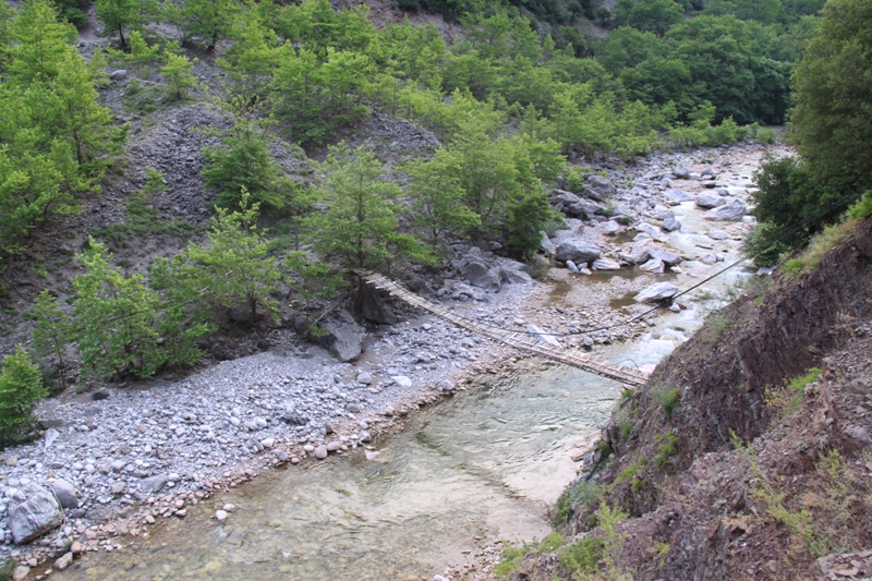 2010_06_12_67 (78).JPG
