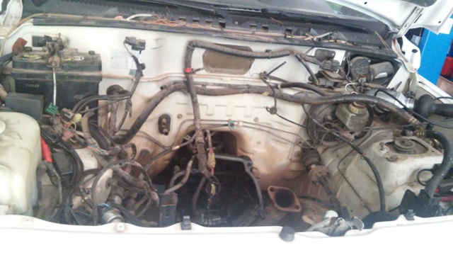 20150727_092935.jpg