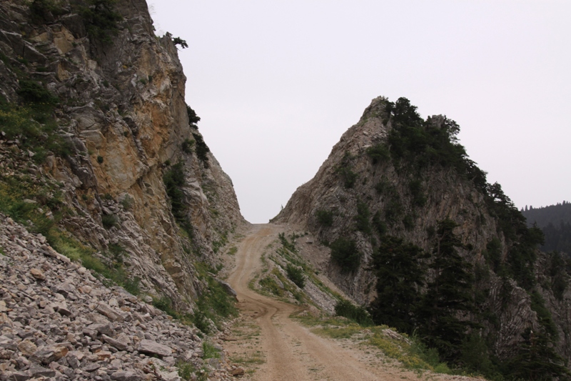 2010_06_12_67 (379).JPG