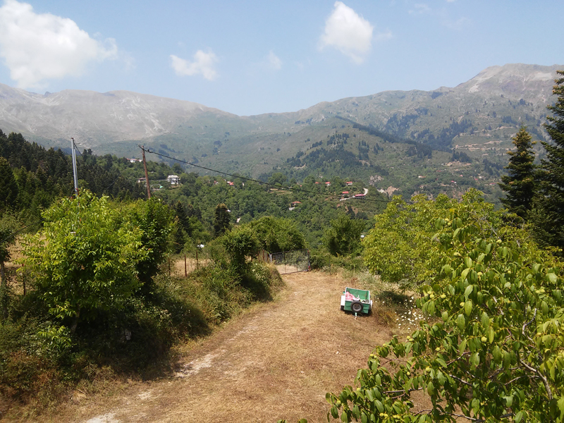 20150803_130818.jpg