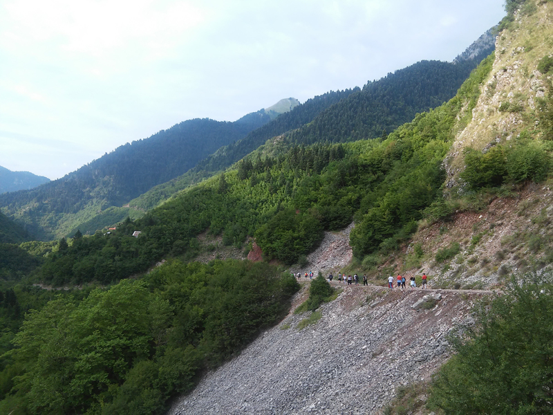 20150805_085204.jpg