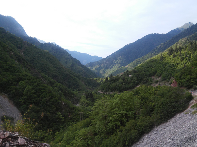 20150805_085209.jpg
