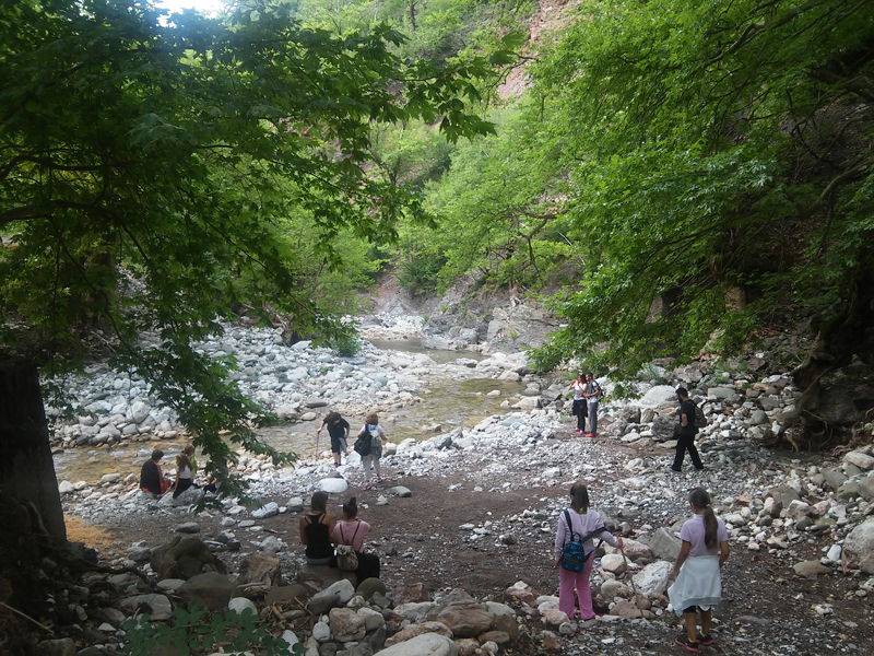20150805_093457.jpg