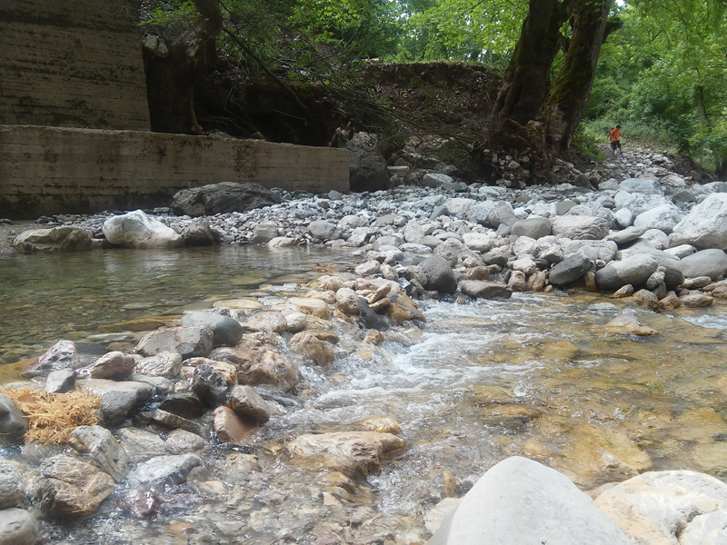 20150805_093618.jpg