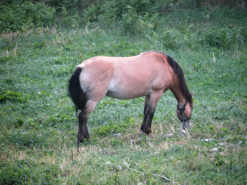 DSCN9899.JPG