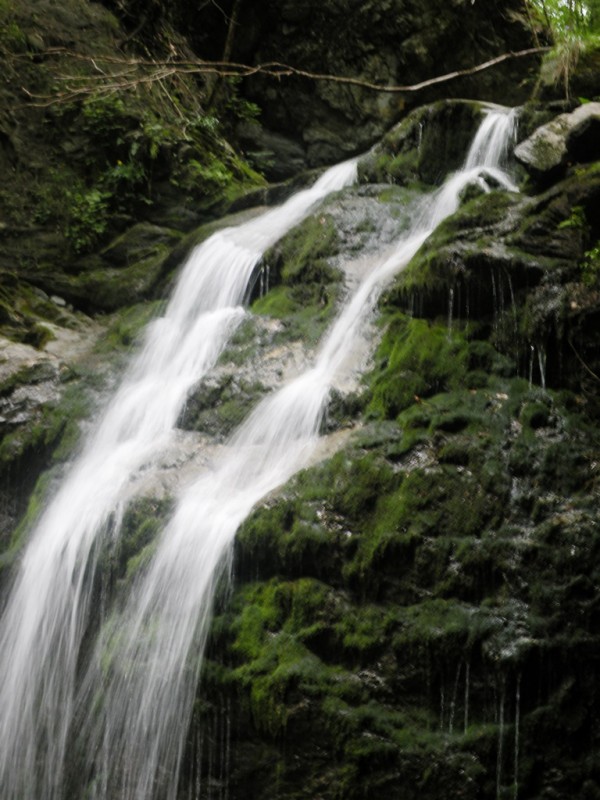 DSCN9922.JPG