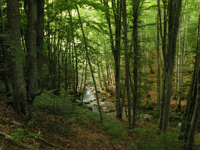 DSCN9935.JPG
