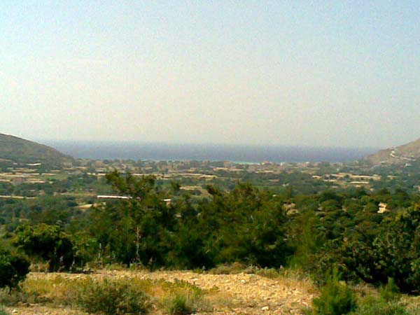 Υψωμα Αγρελωπός,στο βάθος η παραλία της Κώμης.jpg