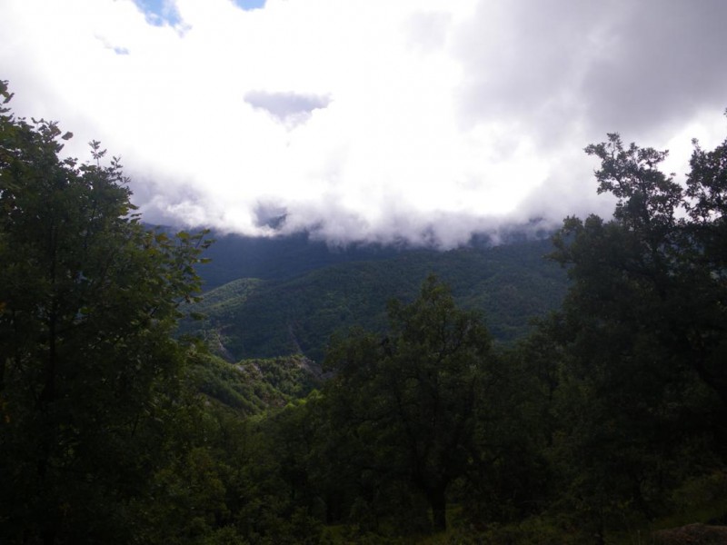 04_1024x768.jpg