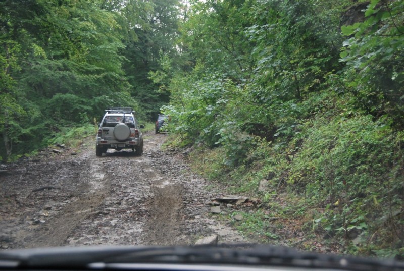 DSC_0259.jpg