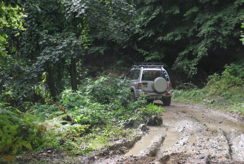 DSC_0265.jpg
