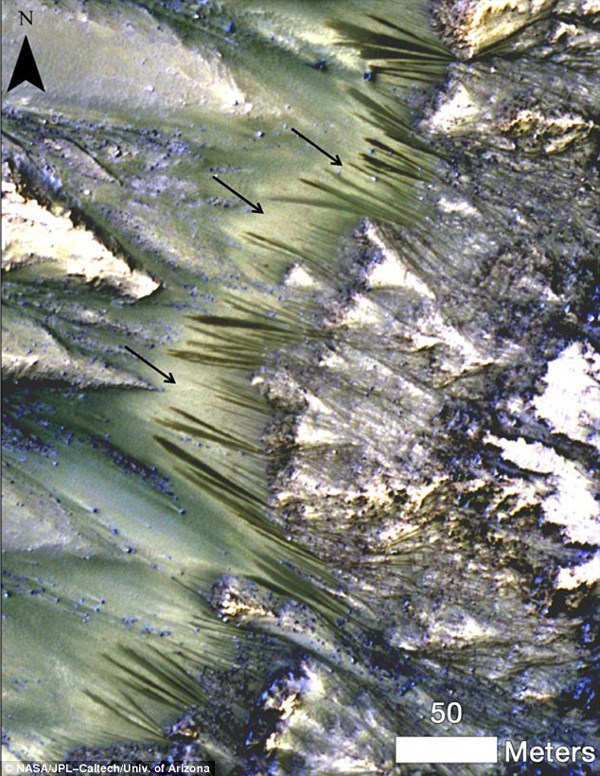 Α6.jpg