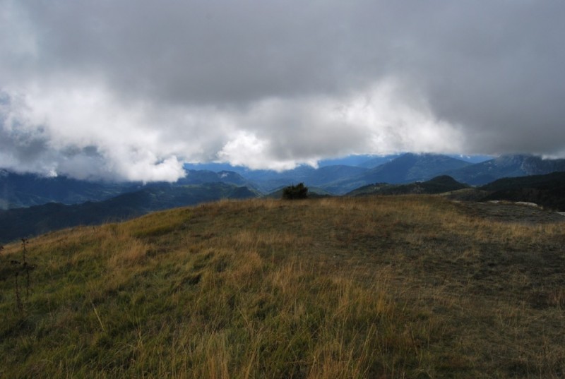 DSC_0378.jpg
