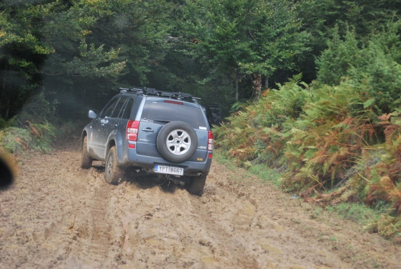 DSC_0424.jpg