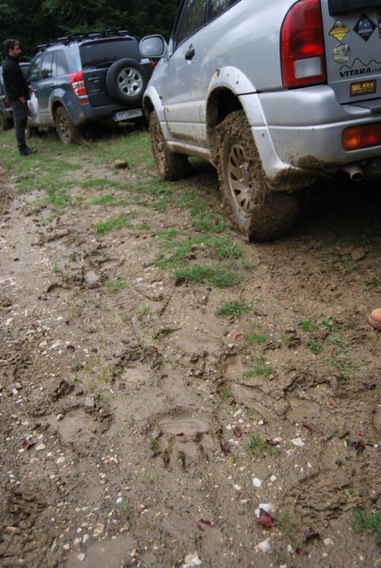 DSC_0466.jpg