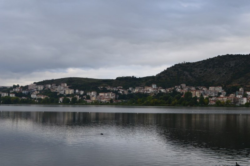DSC_0146.jpg