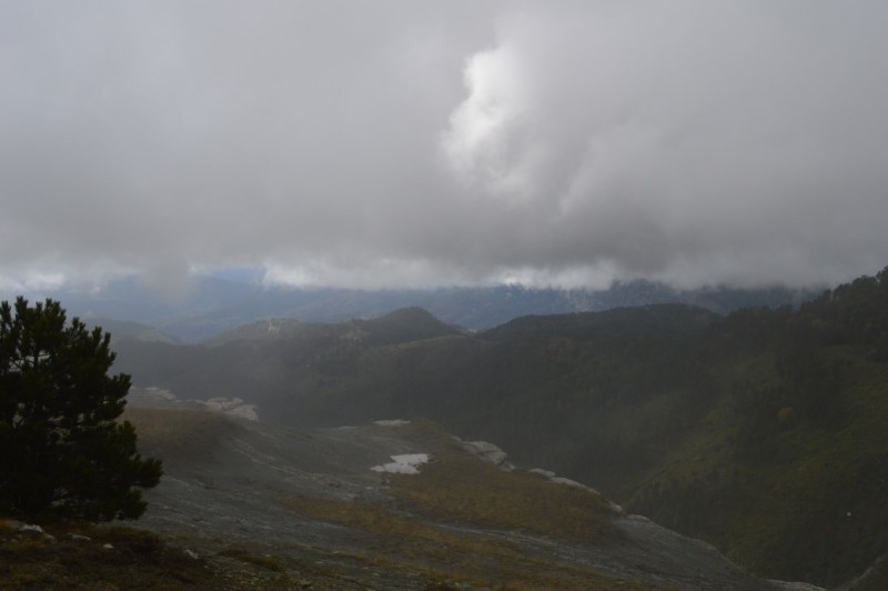 DSC_0230.jpg