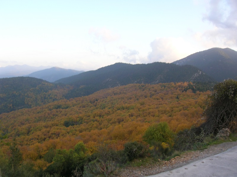DSCN2262.JPG