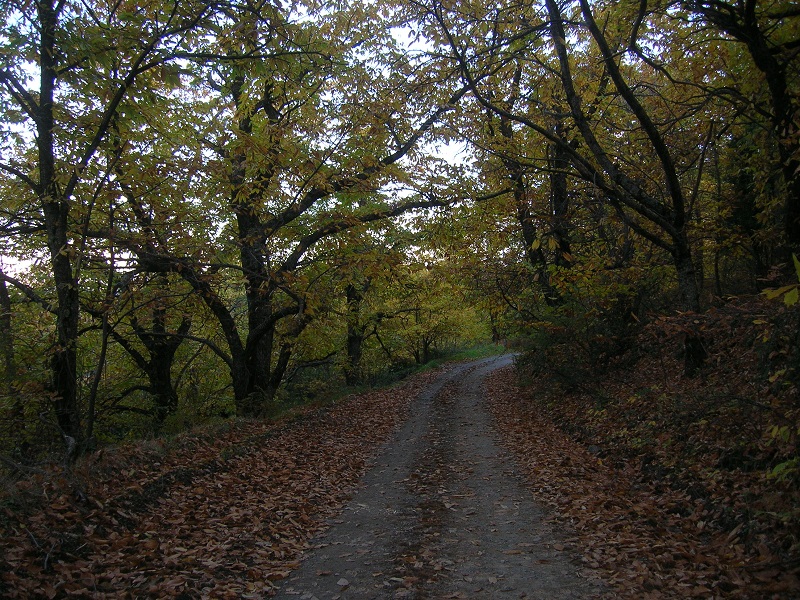 DSCN2264.JPG