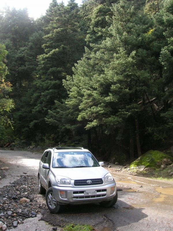 DSCN2271.jpg