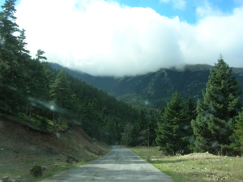 DSCN2272.JPG