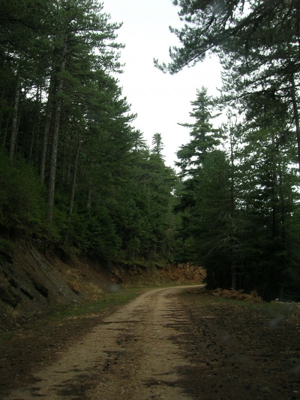 DSCN2273.jpg