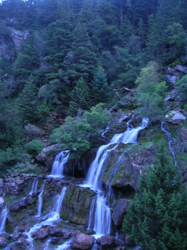 DSCN2279.jpg