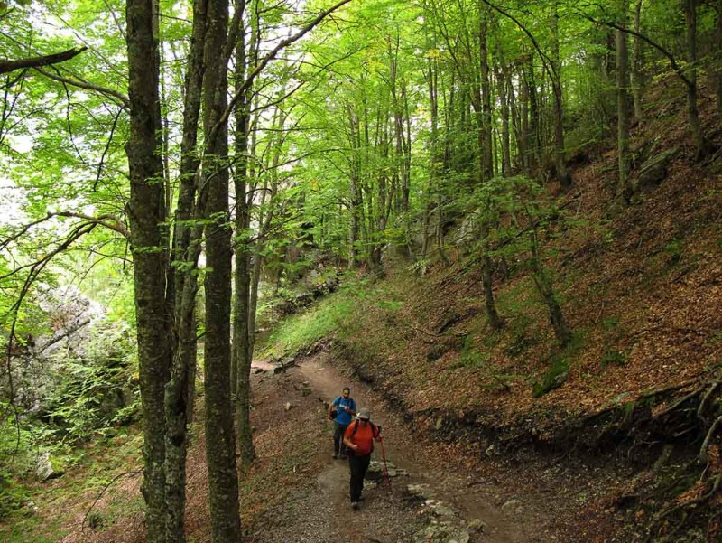 OLYMPOS 3.jpg
