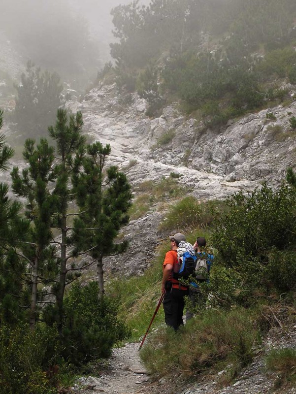 OLYMPOS 5.jpg